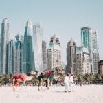 skyline with camels