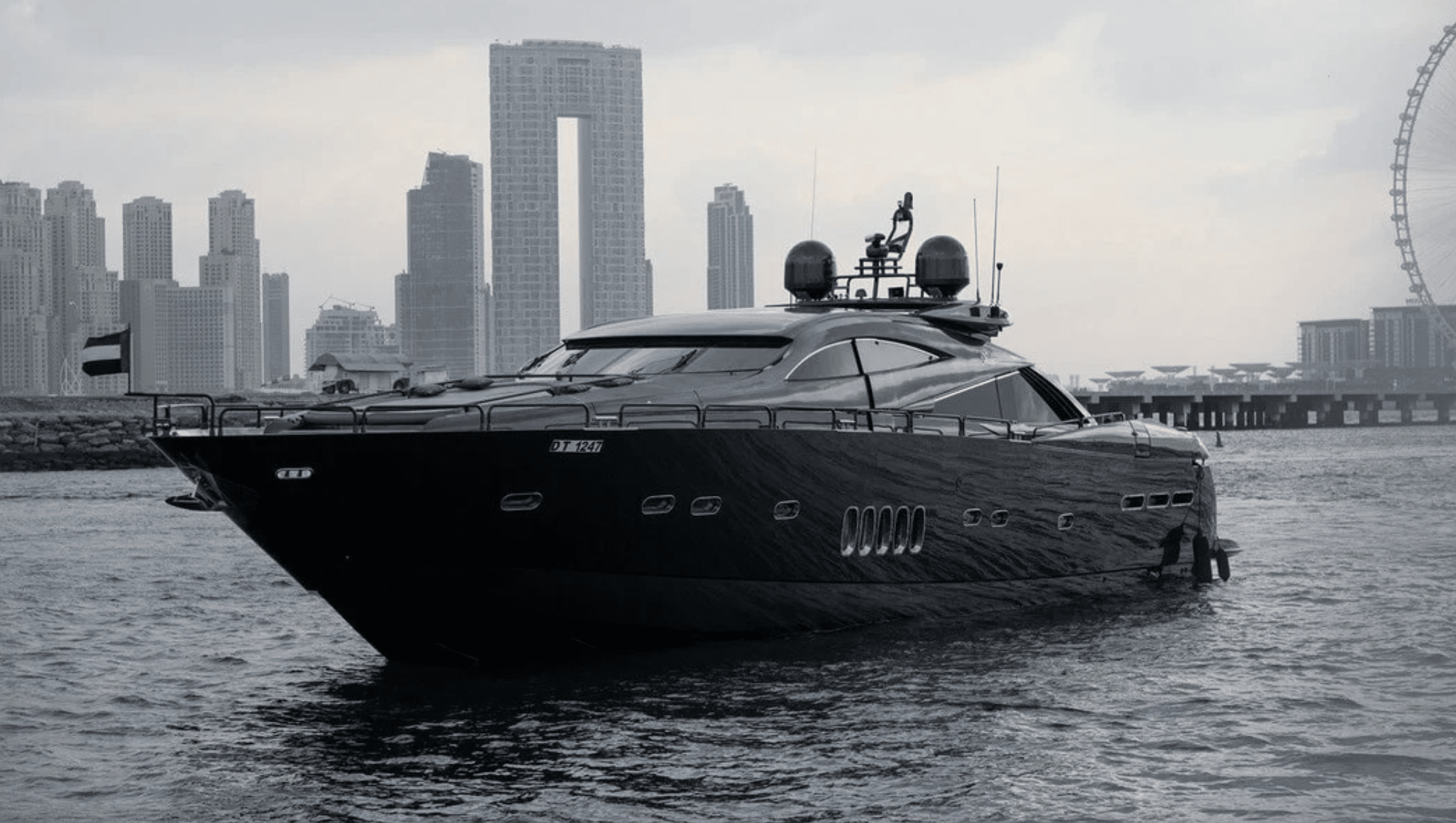 sunseeker-predator